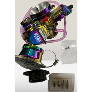 CG 300 PWK 34 KARBÜRATÖR RENKLİ