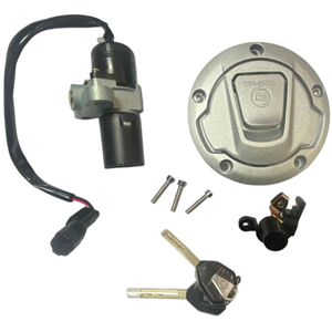 CF MOTO 250SR KONTAK SETİ