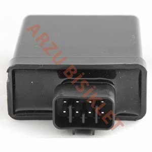 JANSEN JANTEL YBR 125 CDI BEYİN 8 SOKET 2006