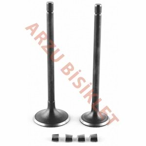 DQ CG 200 SUBAP TK TIRNAKLI