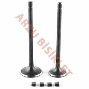 DQ CG 250 SUBAP TK TIRNAKLI