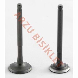 MONERO DQ CUP 100 SUBAP TK TIRNAKLI