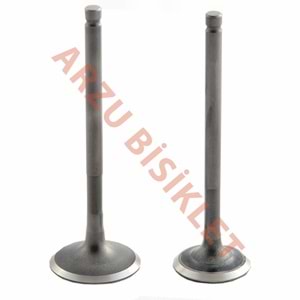 DQ ACT SUBAP TK TIRNAKLI