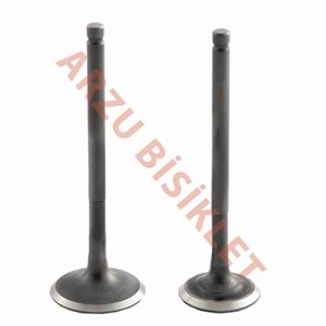 DQ SCT 150 SUBAP TK TIRNAKLI