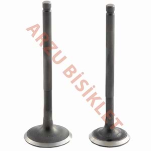 VTC CUP 100 SUBAP TK TIRNAKLI