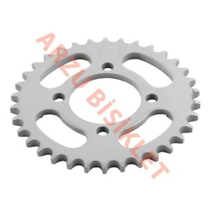 SWAN CUP 100 ARKA DİŞLİ 36 T