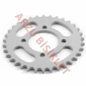 MONERO CUP 100 ARKA DİŞLİ 38 T