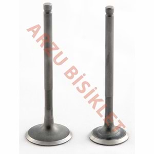 DQ SCT 80 SUBAP TIRNAKLI