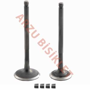 DQ DİO SUBAP TK TIRNAKLI