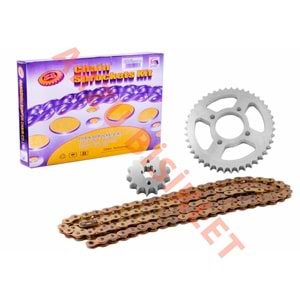 O RİNGLİ ZİNCİR DİŞLİ SET [GOLD] [14T/45T] [428H x 118L] YBR - SFR