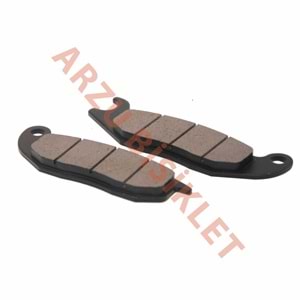 SWAN PCX 150 DİSK BALATA 2022