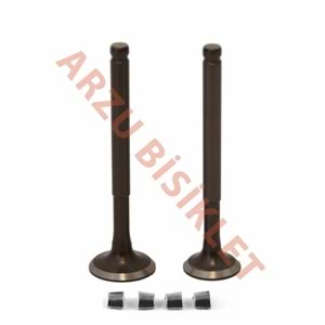 VTC SCT 50 SUBAP TK TIRNAKLI