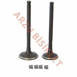 VTC ACTİVA SUBAP TK TIRNAKLI (ACT)