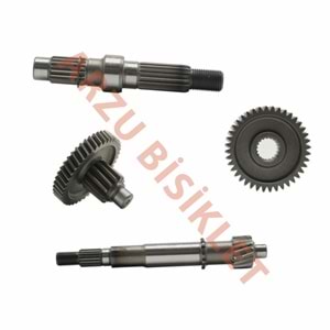 ŞANZIMAN KOMPLE - ARORA FREEDOM