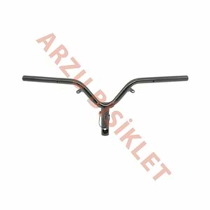 DİREKSİYON [GİDON] - KUBA BLUEBIRD