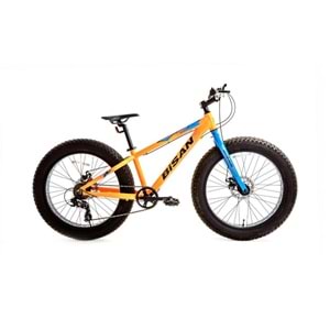 BİSAN SKATER 24 JANT MD FREN KUM BİSİKLET (TURUNCU - MAVİ)
