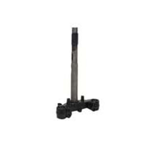 MAŞA ALT PLATİN SPONITI