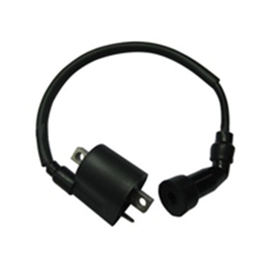 QEFDQ CG 125 DIŞ BOBİN