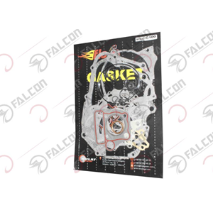 FALCON CUP 100 CONTA TAKIMI