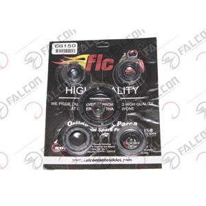 FALCON CG 150 KEÇE TAKIMI