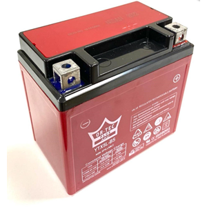 ORTEC 12 - 5 KISA AKÜ