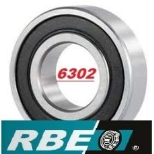 RBE 6302 RULMAN