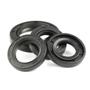 MTC SCT 125 KEÇE TAKIMI SET