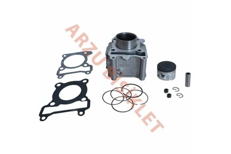 JANSEN CYGNUS L SİLİNDİR SETİ