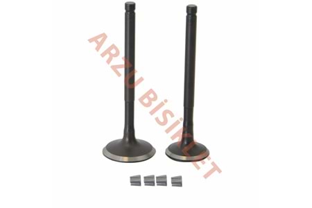 VTC ACTİVA SUBAP TK TIRNAKLI (ACT)