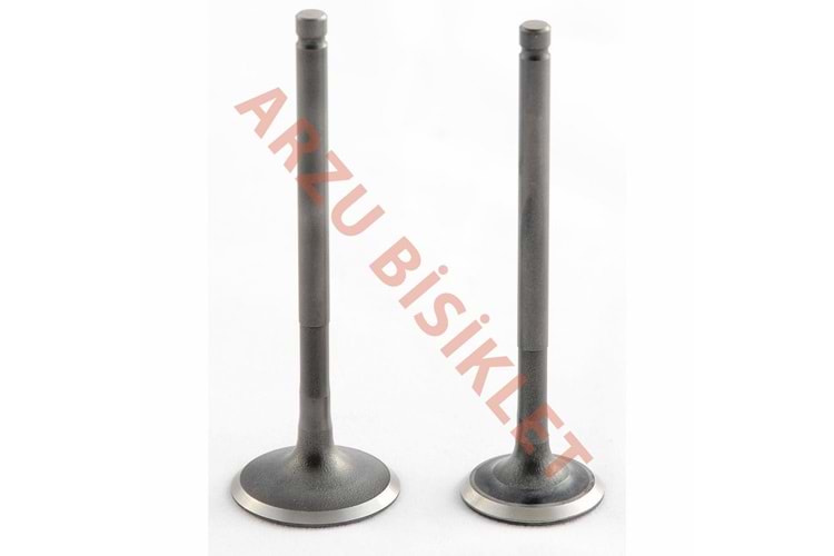 DQ SCT 80 SUBAP TIRNAKLI