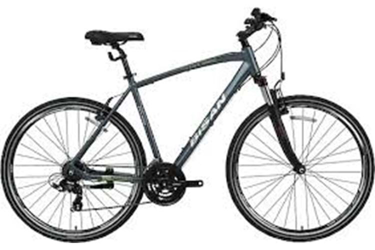 BİSAN TRX 8100 CİTY 28 JANT V FREN BİSİKLET (FÜME)