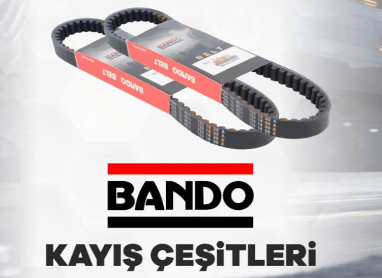 KAYIŞ ÇEŞİTLERİ