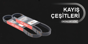 KAYIŞ ÇEŞİTLERİ