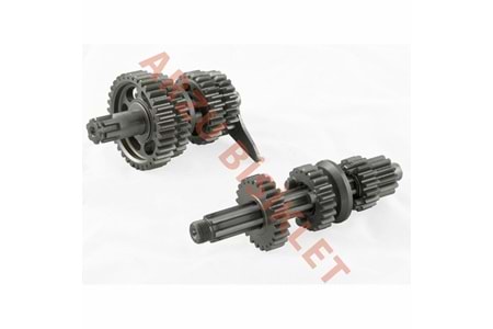 ŞANZIMAN KOMPLE FT-110cc LİFAN - CUB