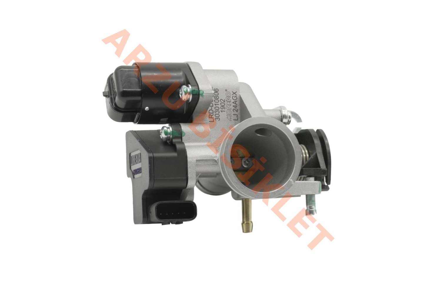 GAZ KELEBEĞİ - ARORA CAPPUCINO