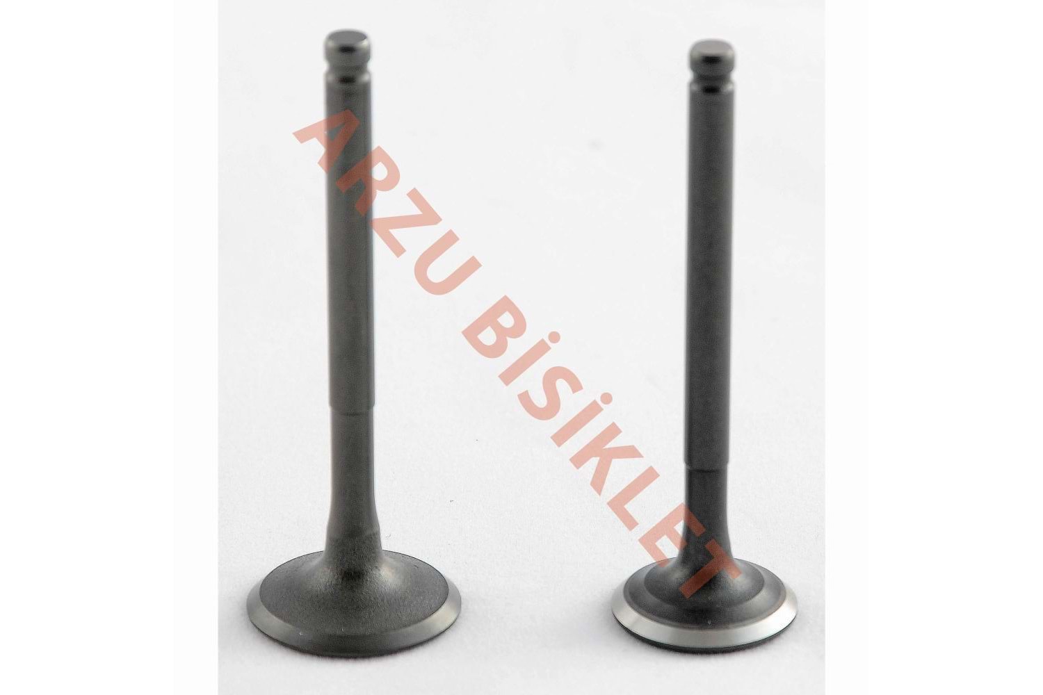 MONERO DQ CUP 100 SUBAP TK TIRNAKLI