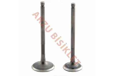 DQ ACT SUBAP TK TIRNAKLI