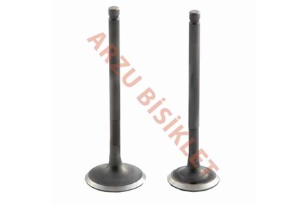 DQ SCT 125 SUBAP TK TIRNAKLI