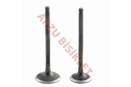 DQ SCT 150 SUBAP TK TIRNAKLI