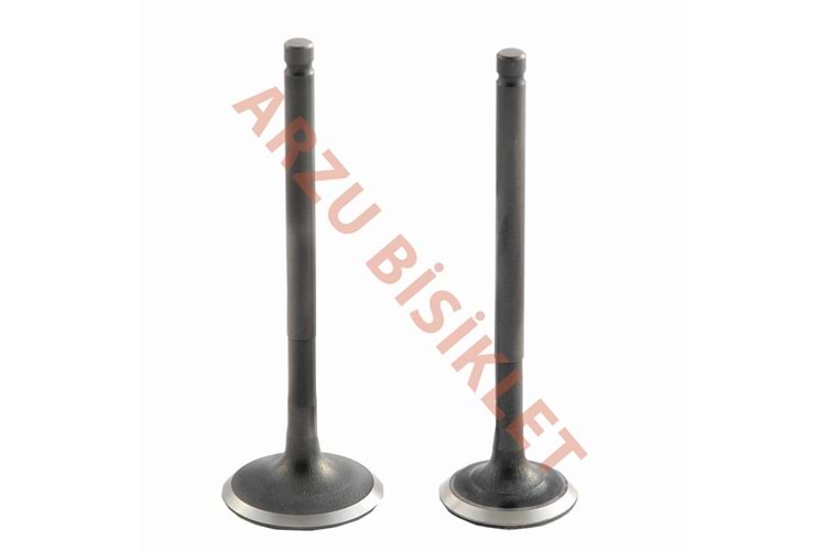 DQ SCT 150 SUBAP TK TIRNAKLI