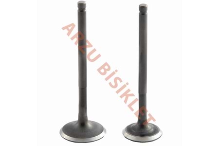 VTC CUP 100 SUBAP TK TIRNAKLI