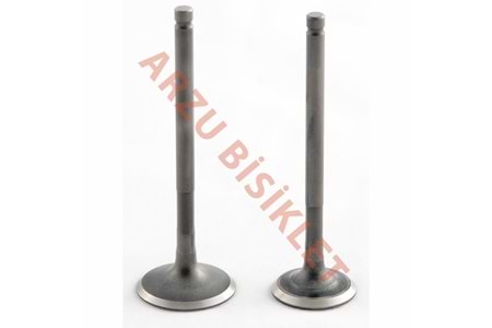 DQ SPACY 110 SUBAP TIRNAKLI