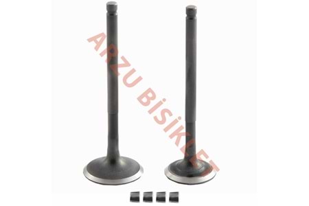 DQ DİO SUBAP TK TIRNAKLI