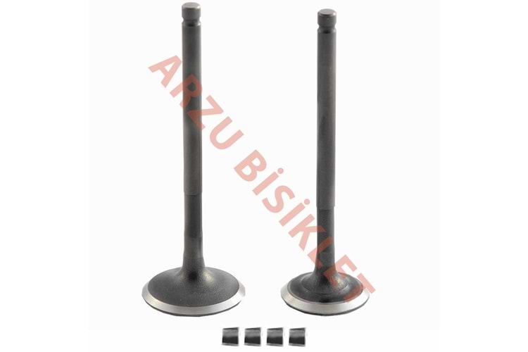 DQ DİO SUBAP TK TIRNAKLI