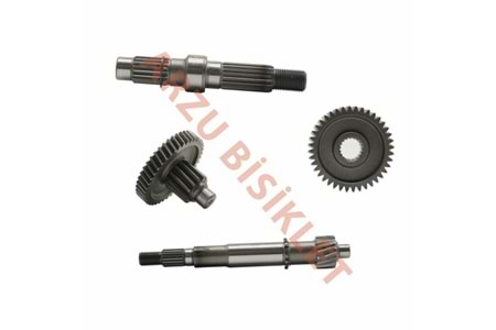 ŞANZIMAN KOMPLE - ARORA FREEDOM